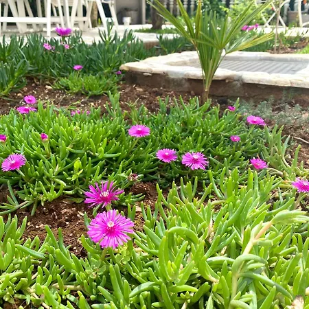 Appartement Tara Malinska