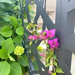 アパート Tara
