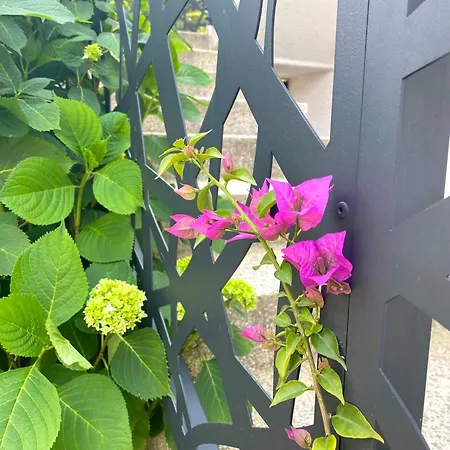 Apartamento Tara