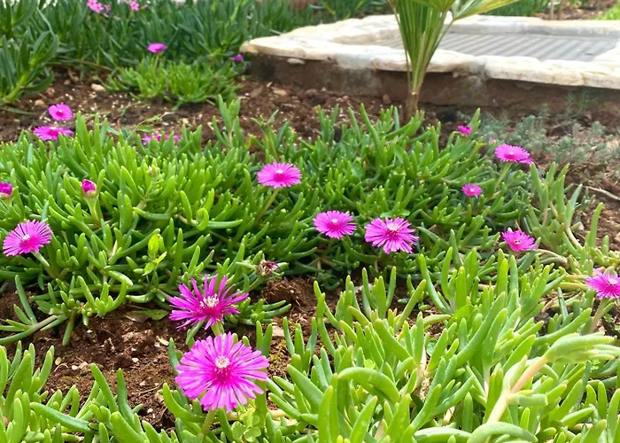 Apartamento Tara Malinska