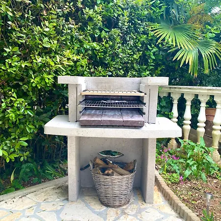 Tara * マリンスカ